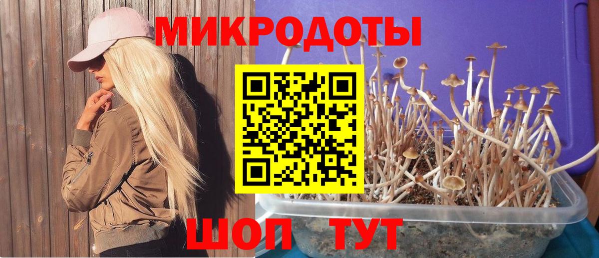 Псилоцибиновые грибы Psilocybine cubensis Кувандык