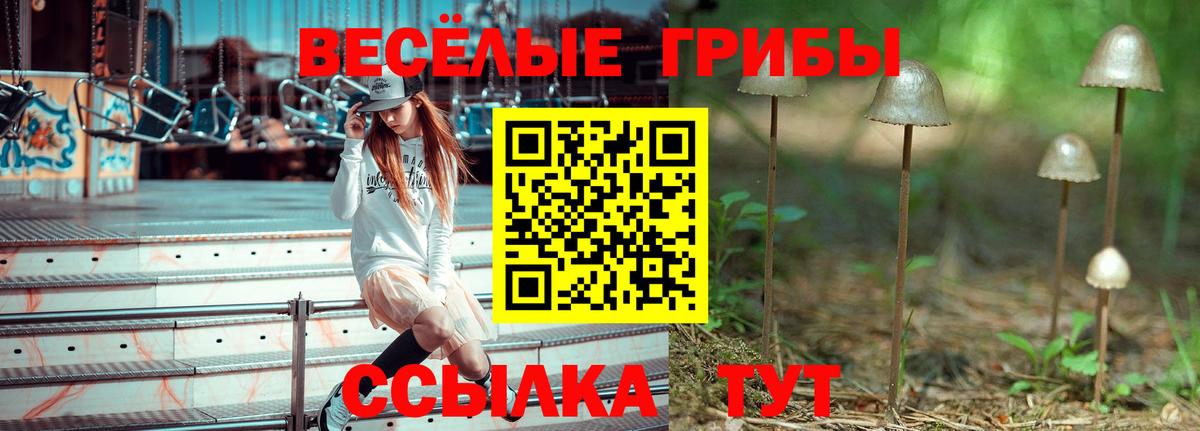 Псилоцибиновые грибы мицелий  Галлюциногенные грибы GOLDEN TEACHER  Вход с VPN  Кувандык 